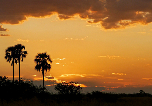 Álomszafari Afrikában: Namíbia, Botswana és Zimbabwe (2. rész)