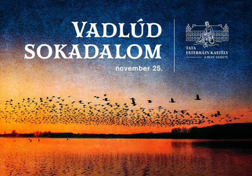 Vadlúd Sokadalom Tatán